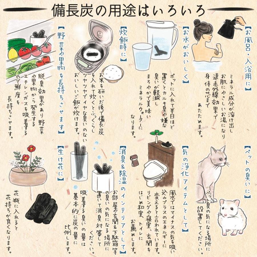 【 塩素除去 入浴剤 】 自宅で温泉気分 遠赤外線 浄水 湯冷め防止 お風呂用 備長炭 本体セット 替え炭2個付 グレー 保湿 無香料 芯まで温まる 冷え性 寒さ対策 | ブランド登録なし | 16