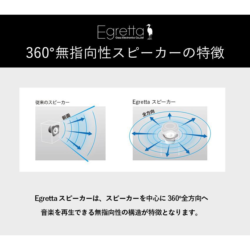 スピーカー Egretta エグレッタ TS1000 ハイレゾ対応 無指向性 スピーカー Egretta エグレッタ TS1000 ハイレゾ対応 無指向性
