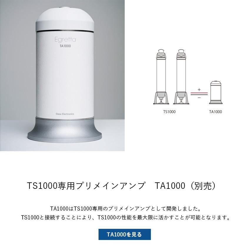 スピーカー Egretta エグレッタ TS1000 ハイレゾ対応 無指向性 スピーカー Egretta エグレッタ TS1000 ハイレゾ対応 無指向性