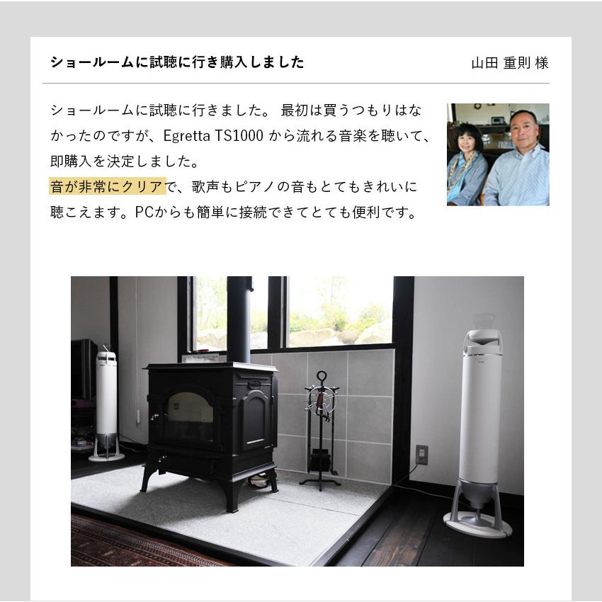 スピーカー Egretta エグレッタ TS1000F ハイレゾ対応 無指向性タワー