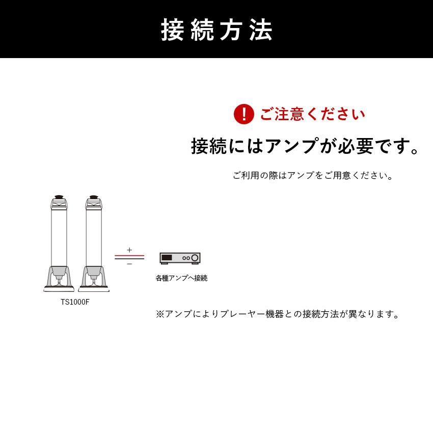 スピーカー Egretta エグレッタ TS1000F ハイレゾ対応 無指向性 スピーカー Egretta エグレッタ TS1000F ハイレゾ対応 無指向性