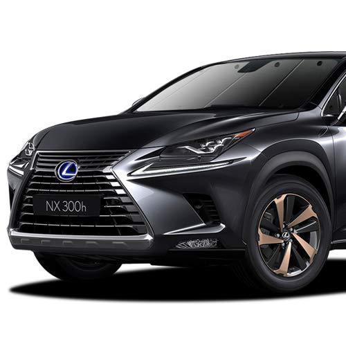 Lexus レクサス カーテン Nx 01s A035 Nx300h Nx300 カーテン サンシェード プライバシーサンシェード 家具 インテリア グッズ 01s