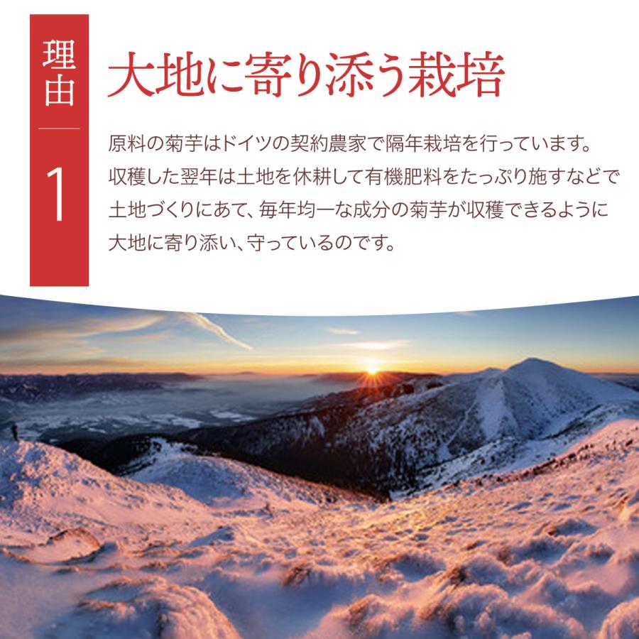 イヌリン 菊芋 サプリ 前田の菊芋 105包 トピファイバー 食物繊維 サプリメント 糖対策 イヌリン 菊芋 前田の菊芋