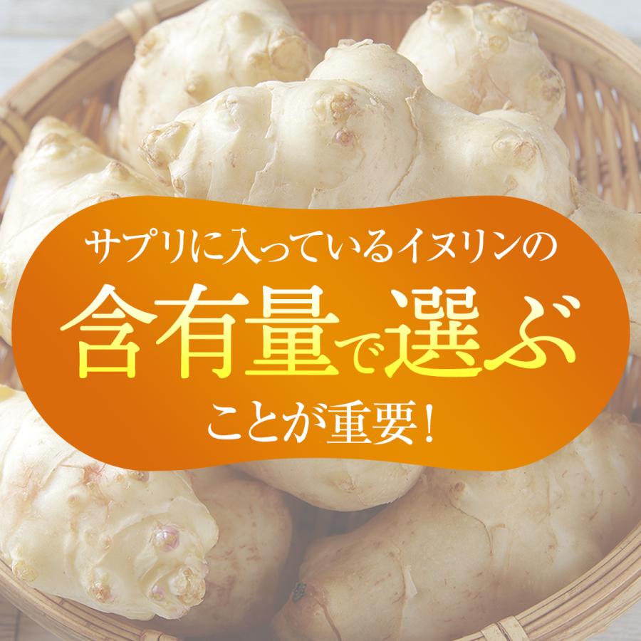 イヌリン 菊芋 サプリ 前田の菊芋 105包 トピファイバー 食物繊維 サプリメント 糖対策 イヌリン 菊芋 前田の菊芋