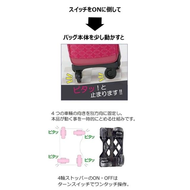 SWANY（スワニー） ウォーキングバッグ ルバンド L21(D-640) キャリー