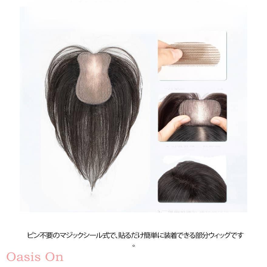 ピンなし 頭頂部 ウィッグ トップヘアピース 白髪隠し 前髪ウィッグ