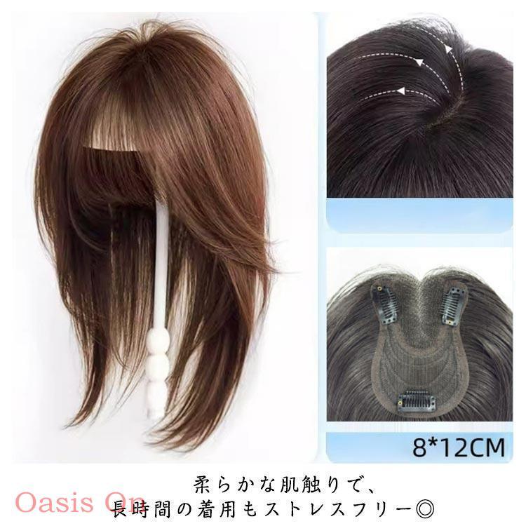 レディース レイヤーカット フルウィッグ ブラック 長さ35cm ネット