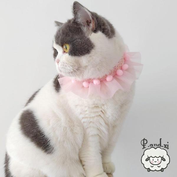 チョーカー 首飾り 猫用 犬用 ペット用 アクセサリー レース チュール