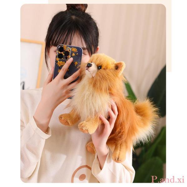 ぬいぐるみ ポメラニアン 犬 リアル 本物そっくり 生々しい いぬ 抱き