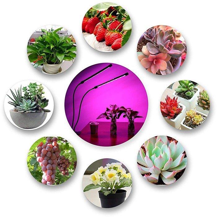 植物育成ledライト タイマー機能 Usb給電 クリップ式 9段階明るさ 家庭菜園 水耕栽培 水草栽培 室内 植物成長促進用ランプ 360 角度及び高さ調整可能 Plantlight03 有限会社オアシス貿易 通販 Yahoo ショッピング