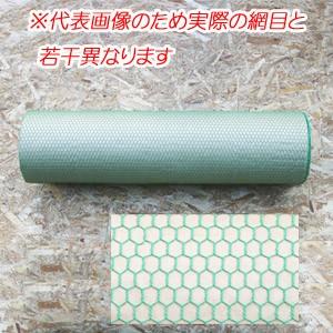 ビニール亀甲金網 #20 網目13mm 30m巻 910mm幅 : オアシスプラス