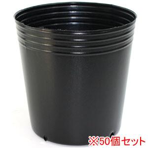 グリーンポット 角4つ穴 #0204 50個セット : オアシスプラス - 通販