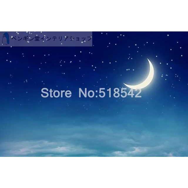 壁紙 おしゃれ ３d 立体 輸入壁紙 部屋 リビング 防水防カビ 防音 子供部屋 寝室 Diy Ae おしゃれ壁紙カーテンのペンギン堂 通販 Yahoo ショッピング