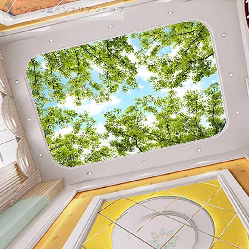 壁紙 おしゃれ ３d 立体 輸入壁紙 部屋 リビング 防水 防カビ 防音 宮殿 吹き抜け 空 立体 Diy Ae おしゃれ 壁紙カーテンのペンギン堂 通販 Yahoo ショッピング