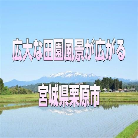 ひとめぼれ 宮城県栗原市産 ひとめぼれ30kg 令和7年産 送料無料【LINE