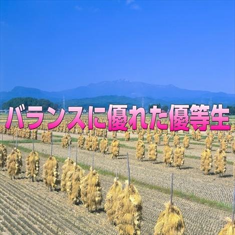 ひとめぼれ 宮城県栗原市産 ひとめぼれ30kg 令和7年産 送料無料【LINE