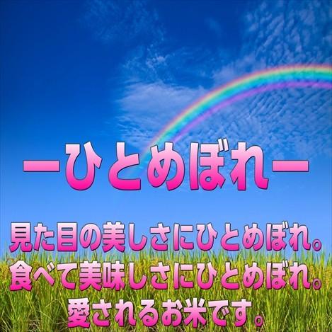 宮城県産 ひとめぼれ 25kg 令和5年産 送料無料 【LINE友達登録で200円OFFクーポン配布中】米 白米 玄米 白米5kg×5袋 玄米5kg×5袋｜obaajitukami｜07