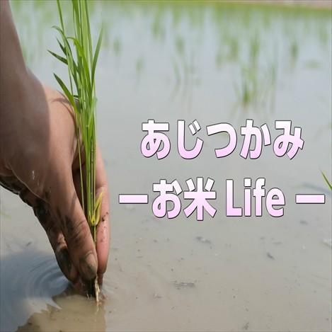 宮城県産 コシヒカリ 30kg 令和5年産 送料無料【LINE友達登録で200円OFFクーポン配布中】米 白米 玄米 白米5kg×6袋 玄米15kg×2袋｜obaajitukami｜05