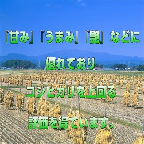 つや姫 宮城県産 つや姫15kg 令和7年産 送料無料【LINE友達登録で50円