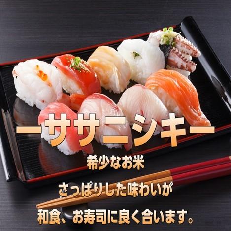 ササニシキ 宮城県産 ササニシキ25kg 令和7年産 送料無料【LINE友達