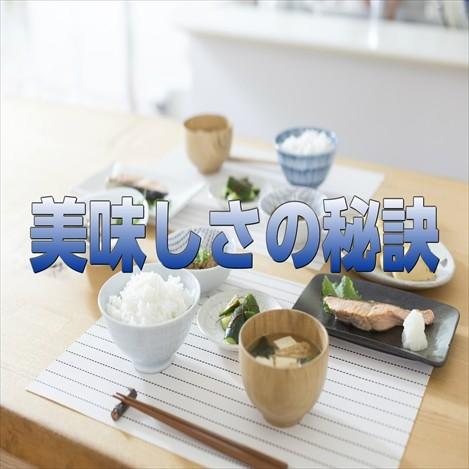 コシヒカリ 宮城県産コシヒカリ20kg 令和6年産 送料無料【LINE コシヒカリ 宮城県産コシヒカリ20kg 令和6年産 送料無料【LINE
