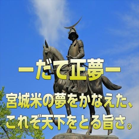 宮城県産 だて正夢10kg 令和7年産 送料無料【LINE友達登録で50円OFF