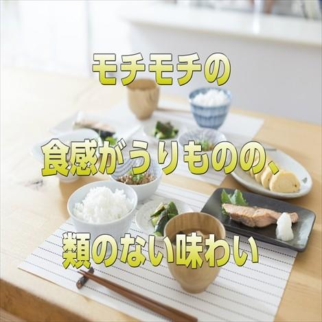 宮城県産 だて正夢 20kg 令和5年産 送料無料【LINE友達登録で200円OFFクーポン配布中】米 白米 玄米 白米5kg×4袋 玄米10kg×2袋｜obaajitukami｜11