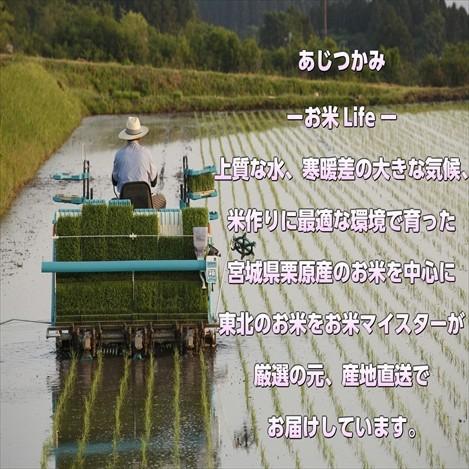 宮城県産 だて正夢 20kg 令和5年産 送料無料【LINE友達登録で200円OFFクーポン配布中】米 白米 玄米 白米5kg×4袋 玄米10kg×2袋｜obaajitukami｜06