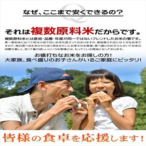 生活応援米 エース 5kg ブレンド米 東北産(宮城県産 岩手県産) 送料無料 複数原料米 【LINE友達登録で200円OFFクーポン配布中】米 白米 業務用 白米5kg×1袋｜obaajitukami｜09