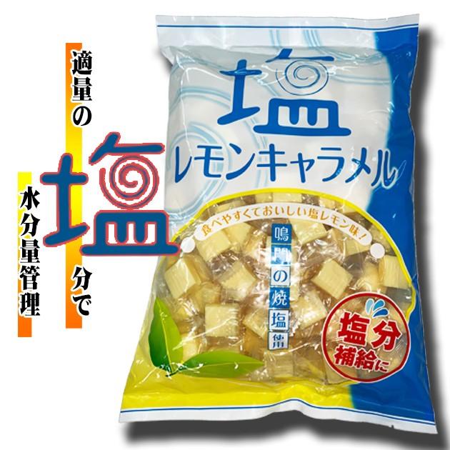 【専用出品】塩キャラメル B20.一の塩キャラメル-500x500.jpg