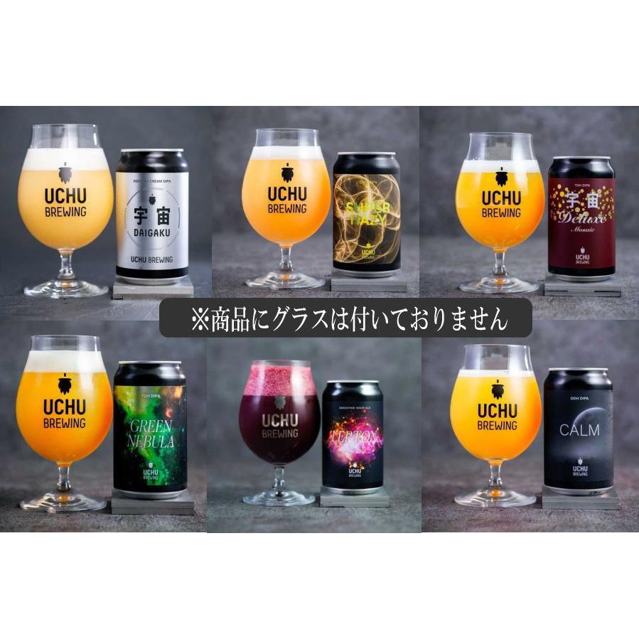 うちゅうブルーイング 宇宙ビール 8種飲み比べセット