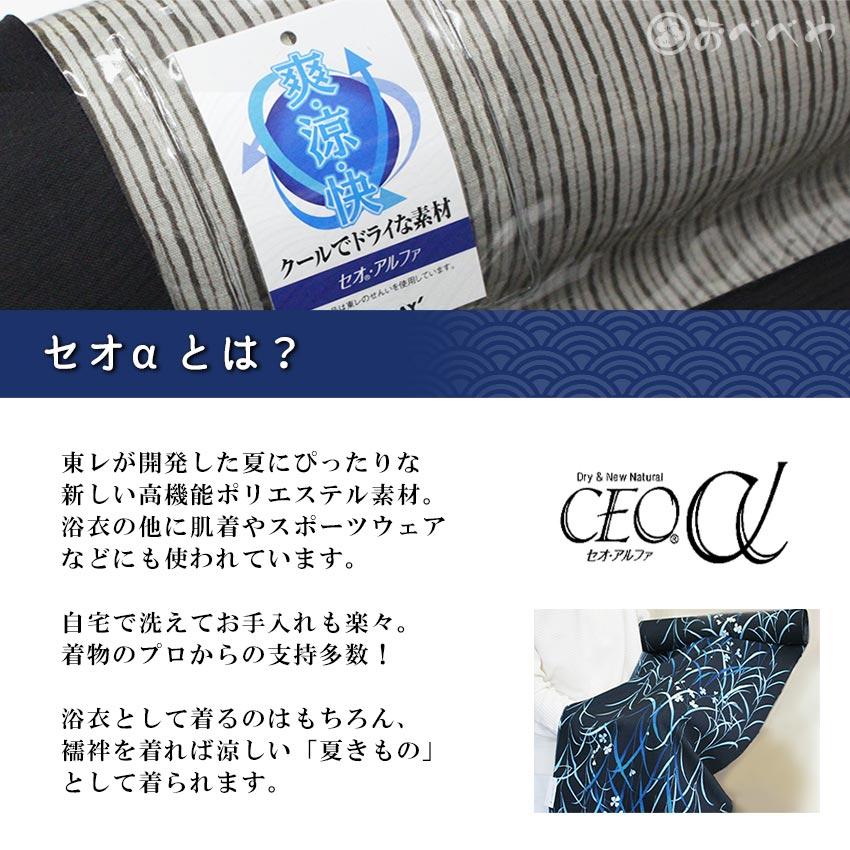 セオαゆかた　撫松庵洗えるプレタ浴衣　猫獣戯画／濃いグレー　メンズ　Lサイズ　送料無料　男性用着物 仕立て上がりの画像
