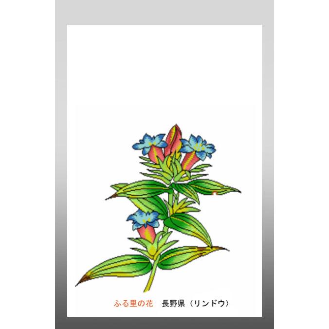花 イラスト ポストカード 絵葉書 イラスト画 ふる里の花 長野県 リンドウ 30 Nagano がま口財布 おび蔵 通販 Yahoo ショッピング