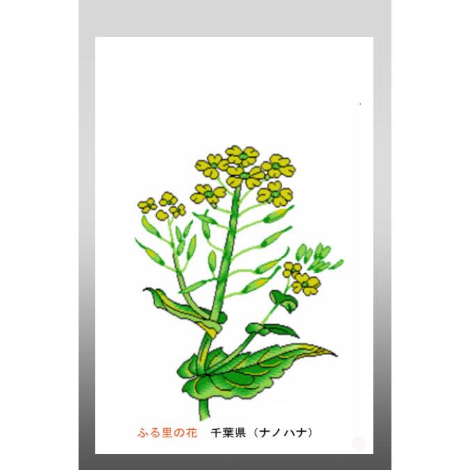 花 イラスト ポストカード 絵葉書 イラスト画 ふる里の花 千葉県 ナノハナ 36 Chiba がま口財布 おび蔵 通販 Yahoo ショッピング
