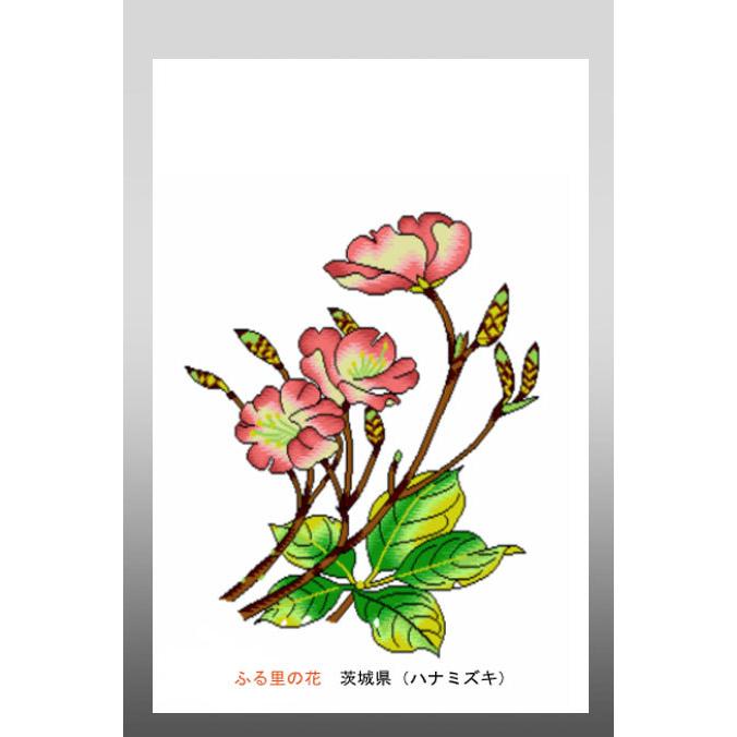 花 イラスト ポストカード 絵葉書 イラスト画 ふる里の花 茨城県 ハナミズキ 37 Ibaragi がま口財布 おび蔵 通販 Yahoo ショッピング