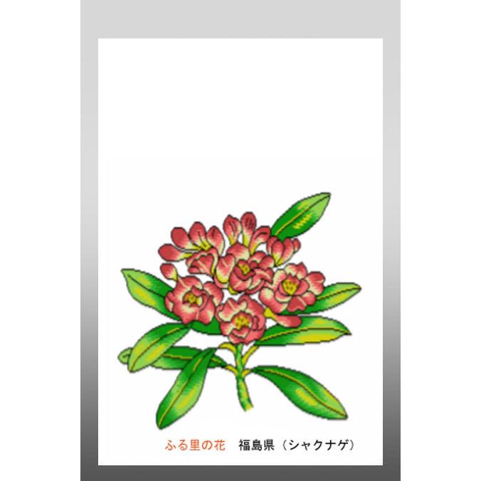 花 イラスト ポストカード 絵葉書 イラスト画「ふる里の花」福島県