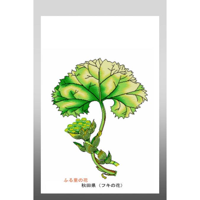 花 イラスト ポストカード 絵葉書 イラスト画 ふる里の花 秋田県 フキノトウ 45 Akita がま口財布 おび蔵 通販 Yahoo ショッピング