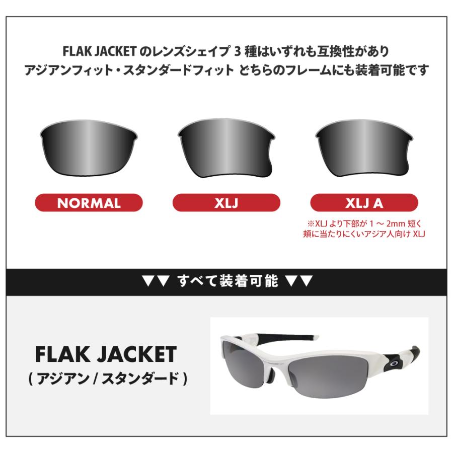 未使用 ローブリッジフィット オールブラック フラックジャケット 偏光レンズ Flak オークリー フラックジャケット 101-105-008 ローブリッジ