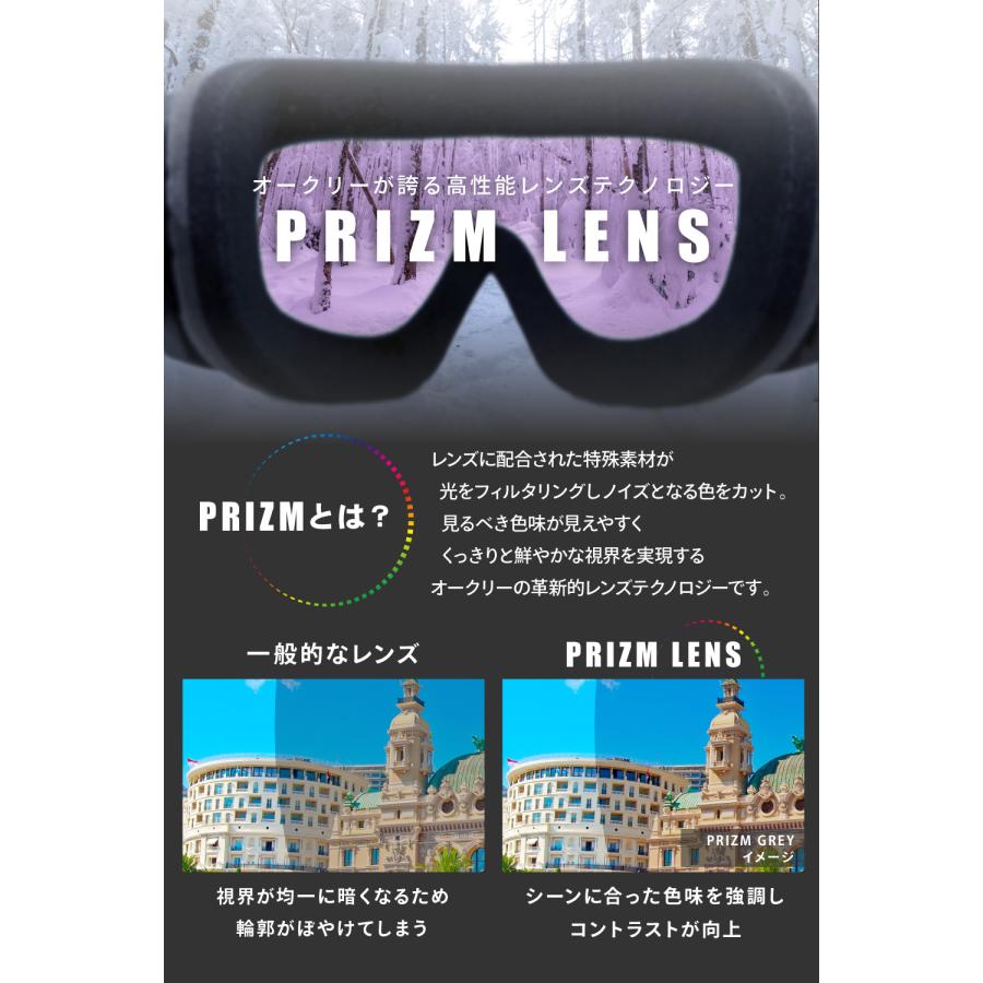 OAKLEY（オークリー） ゴーグル 交換レンズ ラインマイナー プロ L