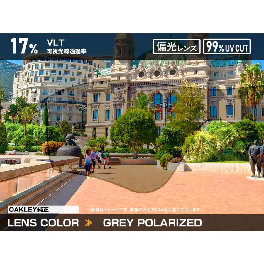 OAKLEY オークリー フロッグスキンLX oo2043-09 ハイブリッジ