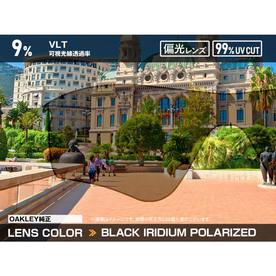 OAKLEY オークリー フロッグスキンLX oo2043-10 ハイブリッジ