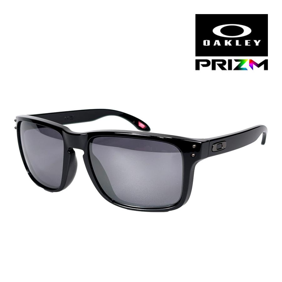 OAKLEY（オークリー） ホルブルック XXL oo9487f-0261 ローブリッジ