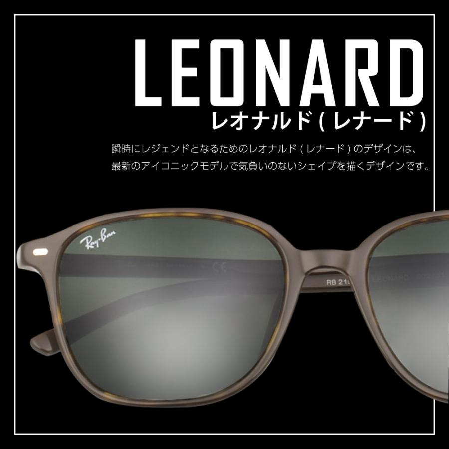 Ray-Ban RB2193F　レオナルド　ケース付きサングラス 2193f-1327gf-s55-1.jpg