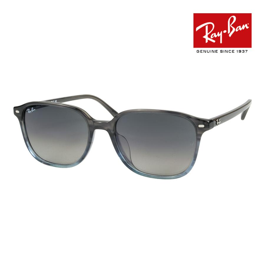 レイバン RB2193F 13871 55 サングラス レオナルド ローブリッジ Ray-Ban（レイバン） サングラス rb2193f 55サイズ 138171 ロー