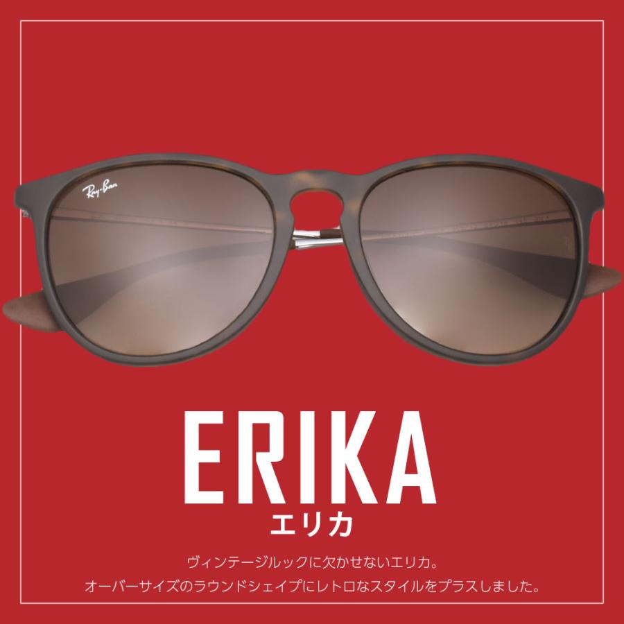 Ray-Ban レイバン　RB4171-F ERIKA　サングラス　ケース付き レイバン公式ストア】 Ray-Ban® ERIKA COLOR MIX サングラス