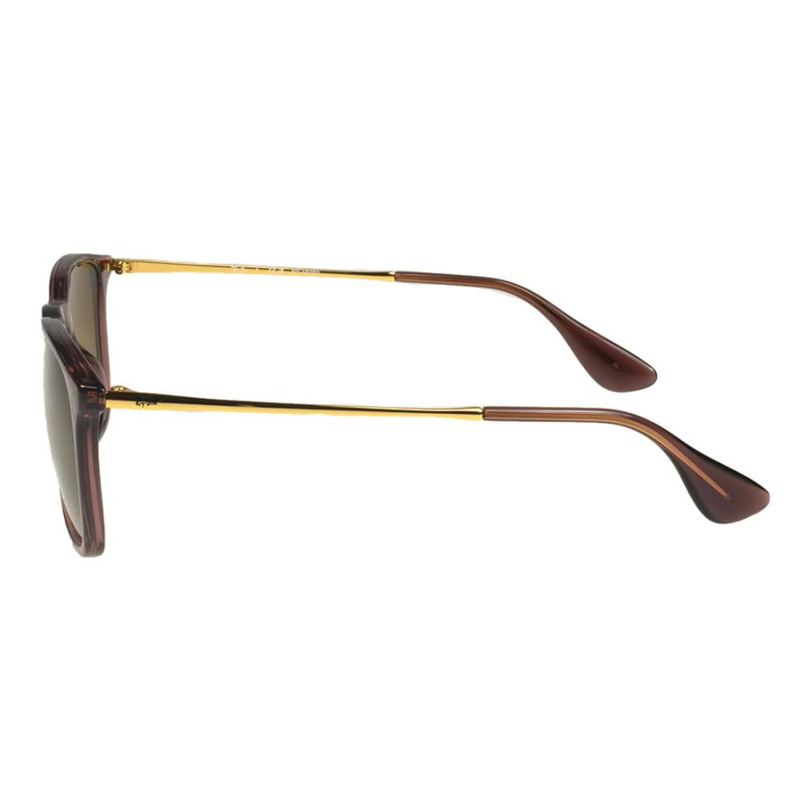 Ray-Ban（レイバン） サングラス rb4187f 54サイズ 6593T5 ロー