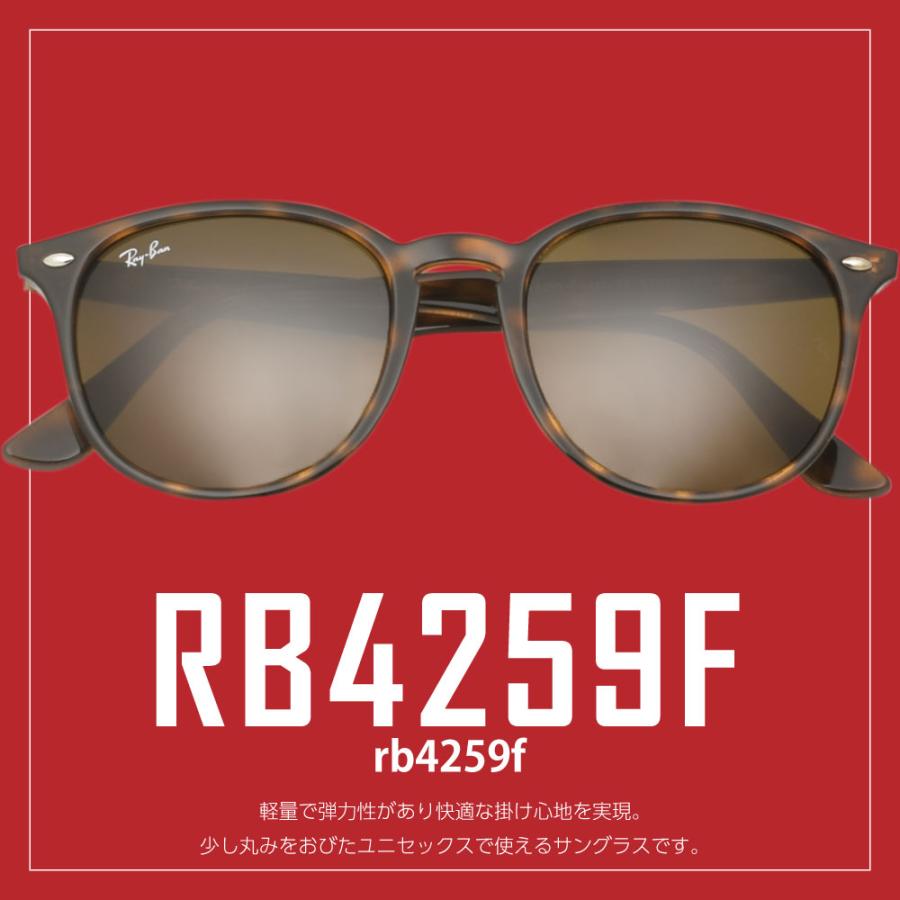 レイバン サングラス RB4259F 601/71 53サイズ ローブリッジフィット RAYBAN 選べるプレゼント付 度付対応可能｜oblige｜06