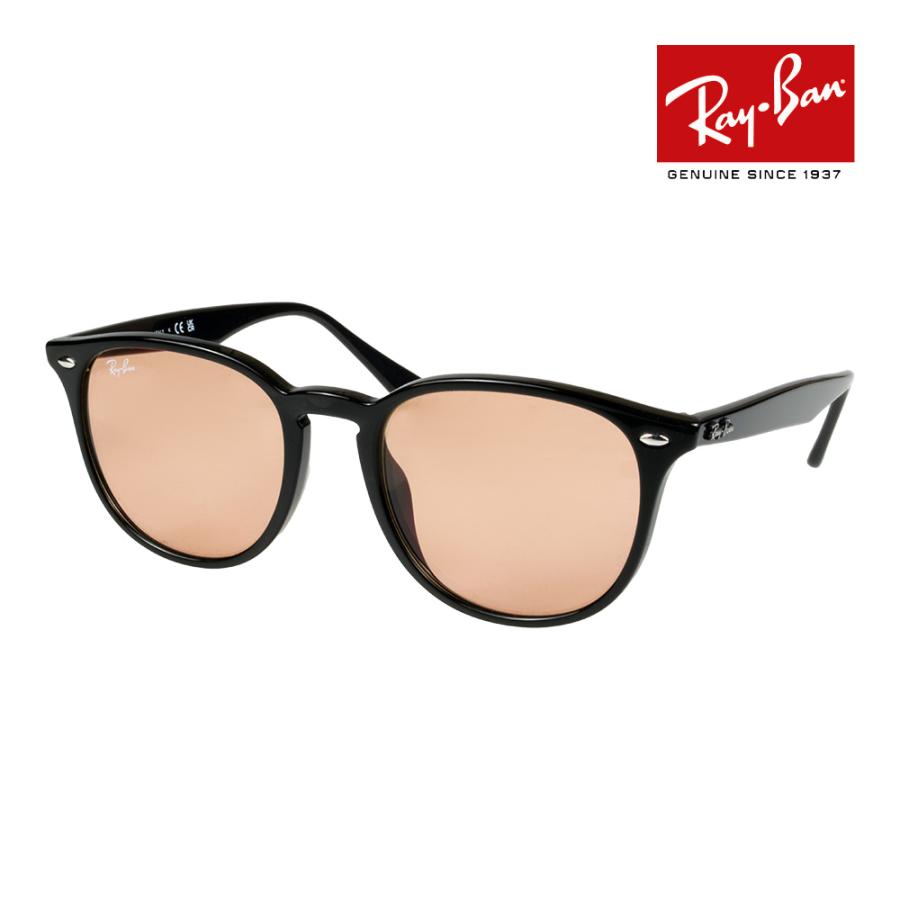 53サイズ【RB4259F-60193】国内正規 レイバンサングラス Ray-Ban（レイバン） サングラス rb4259f 53サイズ 601/93 ロー