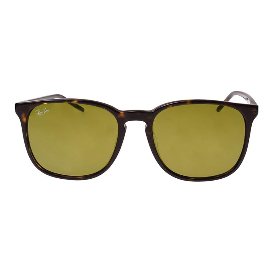 Ray-Ban（レイバン） サングラス rb4387f 55サイズ 902/73 ロー