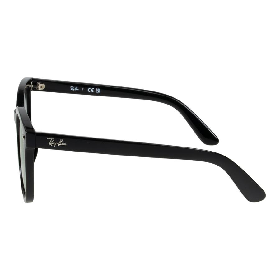 Ray-Ban（レイバン） サングラス rb4401d 55サイズ 601/72 ロー